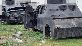 La feroz respuesta de las