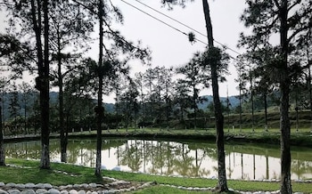 La finca de 700 hectáreas que es propiedad de Pelé