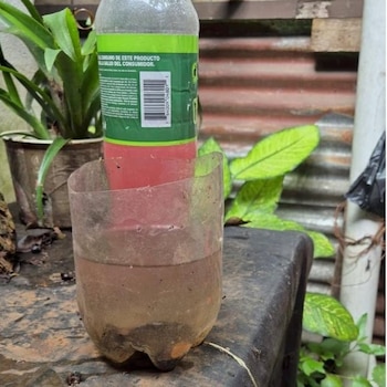 Ante el riesgo de propagación, las recomendaciones sanitarias incluyen el uso de repelente, ropa de manga larga, mosquiteros y eliminación de criaderos. (Cortesía: Ministerio de Salud)