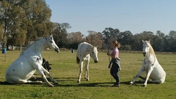 Ailin Wegrzyn asegura que los