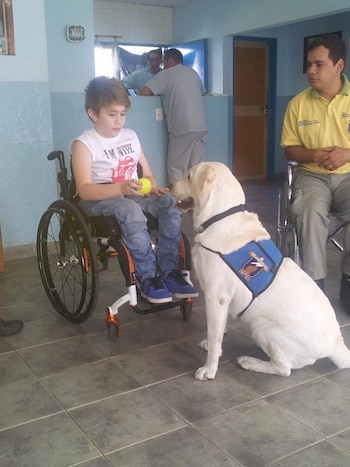 El día en que Tango y Mati se vieron por segunda vez. El nene le dio algunas órdenes simples y, pese a que no era su adiestrador, el perro obedeció.