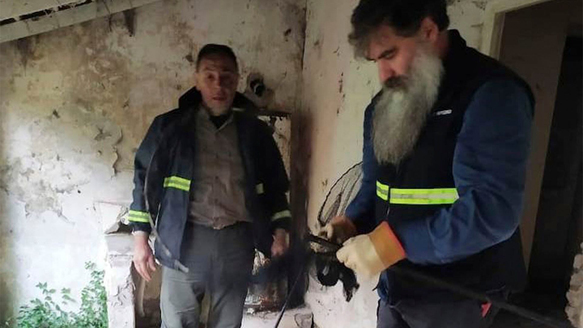 El SENASA de Argentina hizo un operativo en Entre Ríos por el riesgo de transmisión de rabia a partir de una especie de murciélago la semana pasada/Senasa