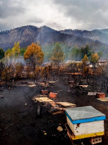 Las pérdidas en la zona