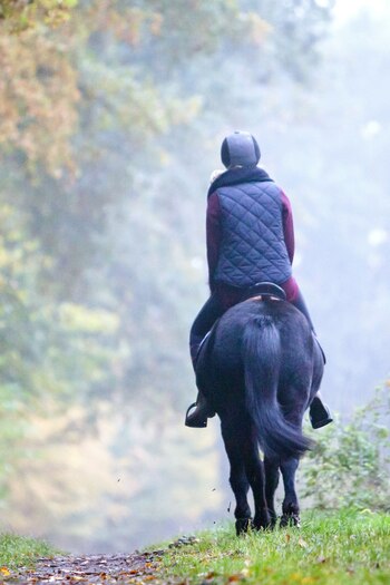 ILUSTRACIÓN - Cabalgar no es