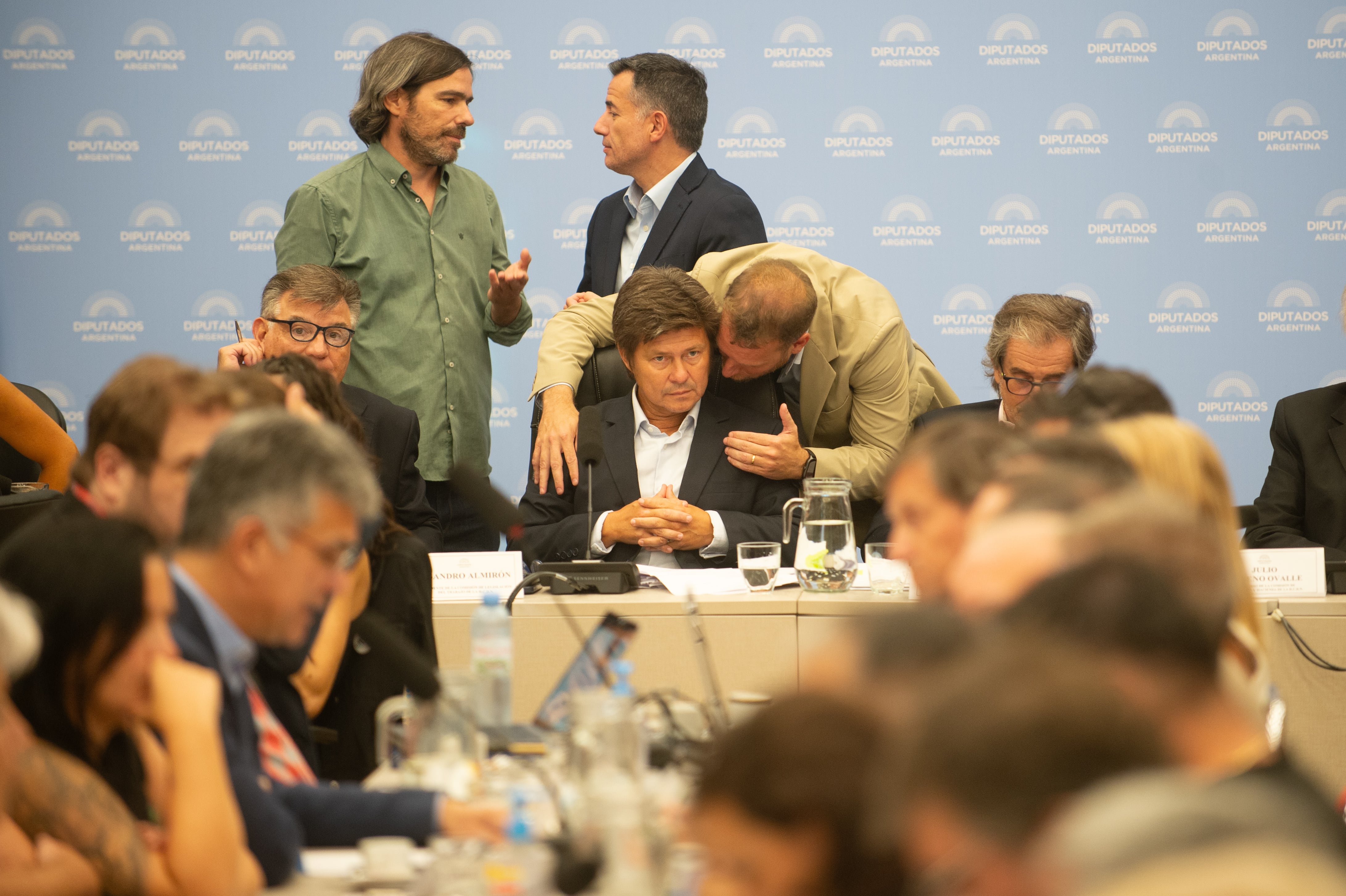 Planario de comisiones en la Cámara de Diputados