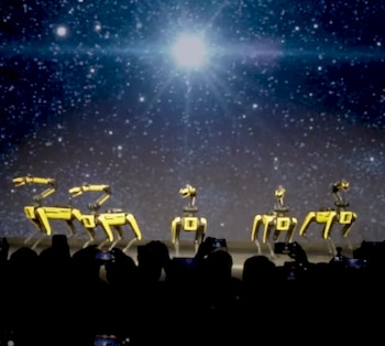 Robots cuadrúpedos Spot bailan canción