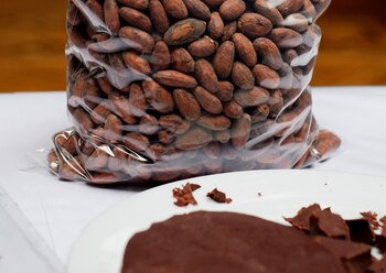 El cacao es fuente de proteínas y de fibras con una baja concentración de carbohidratos (Reuters)