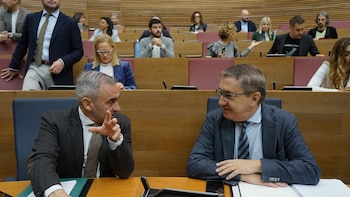 El fiscal pide a la jueza de la dana que acepte el recurso de Compromís y cite como testigos a Rovira y Barrachina