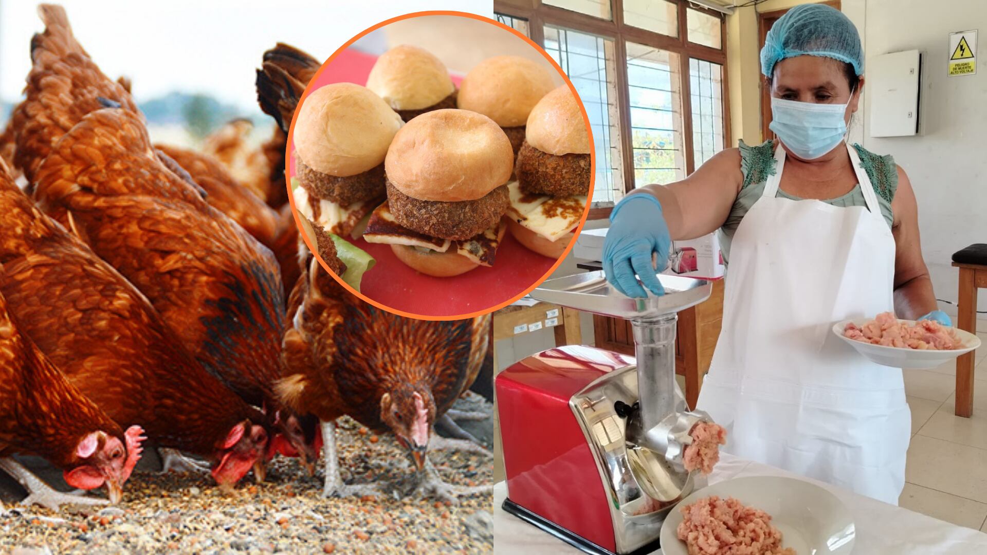 Madres loretanas aprenden a preparar hamburguesas y chorizos a base de gallina. (Foto: Infobae Perú/Agencia Andina)