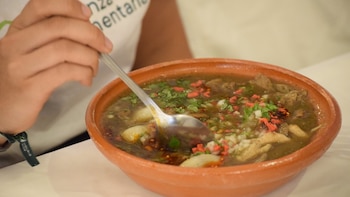 Buscan sustituir alimentos de origen animal en comedores escolares y públicos de Jalisco con un recetario de platillos sostenibles