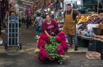 FOTO: ANDREA MURCIA /CUARTOSCURO