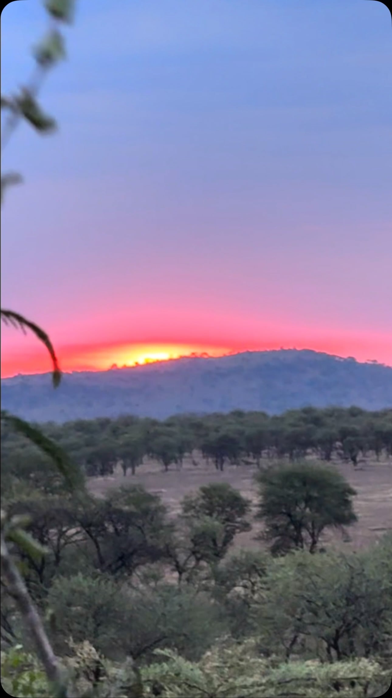 El recorrido continuó en Tanzania con expediciones por el Serengueti y el cráter del Ngorongoro para avistar a los Cinco Grandes de la sabana