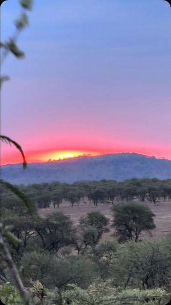 El recorrido continuó en Tanzania con expediciones por el Serengueti y el cráter del Ngorongoro para avistar a los Cinco Grandes de la sabana