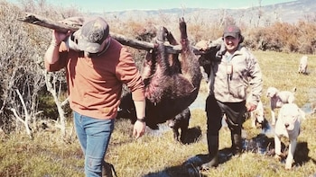 Chile mantiene permiso para cazar