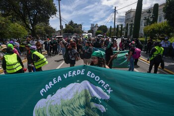Marcha despenalización del Aborto en