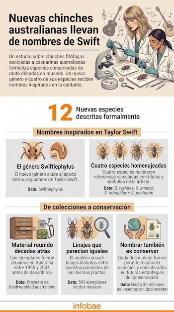 Infografía con ilustraciones de investigadoras en un laboratorio, esquemas de especies de chinches y texto informativo sobre fondo claro.