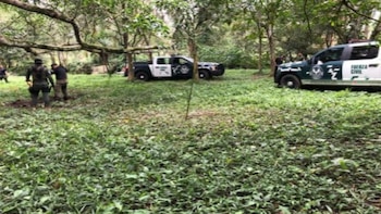 Encontraron una nueva fosa en