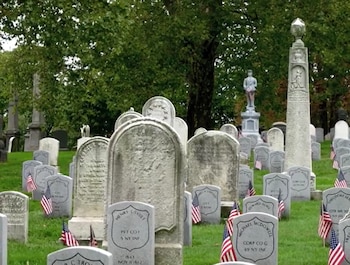 Vista de un cementerio con decenas de lápidas grises en un césped verde; muchas están adornadas con banderas de Estados Unidos, y árboles al fondo