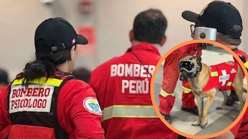Kayra fue la única perrita del contingente peruano enviada a Venezuela y participó en el rescate de una sobreviviente bajo los escombros