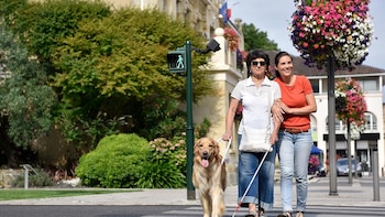 Los genes defectuosos no siempre