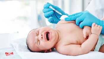 Conocida como la “Vitamina de