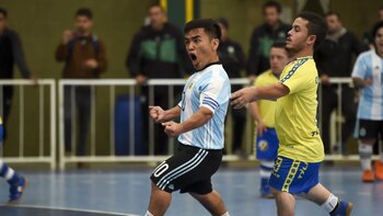 “Pulga y Pelusa”: historias de