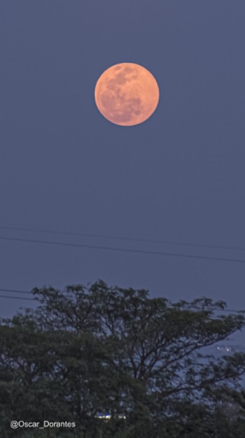 Superluna rosa desde Cuernavaca, en