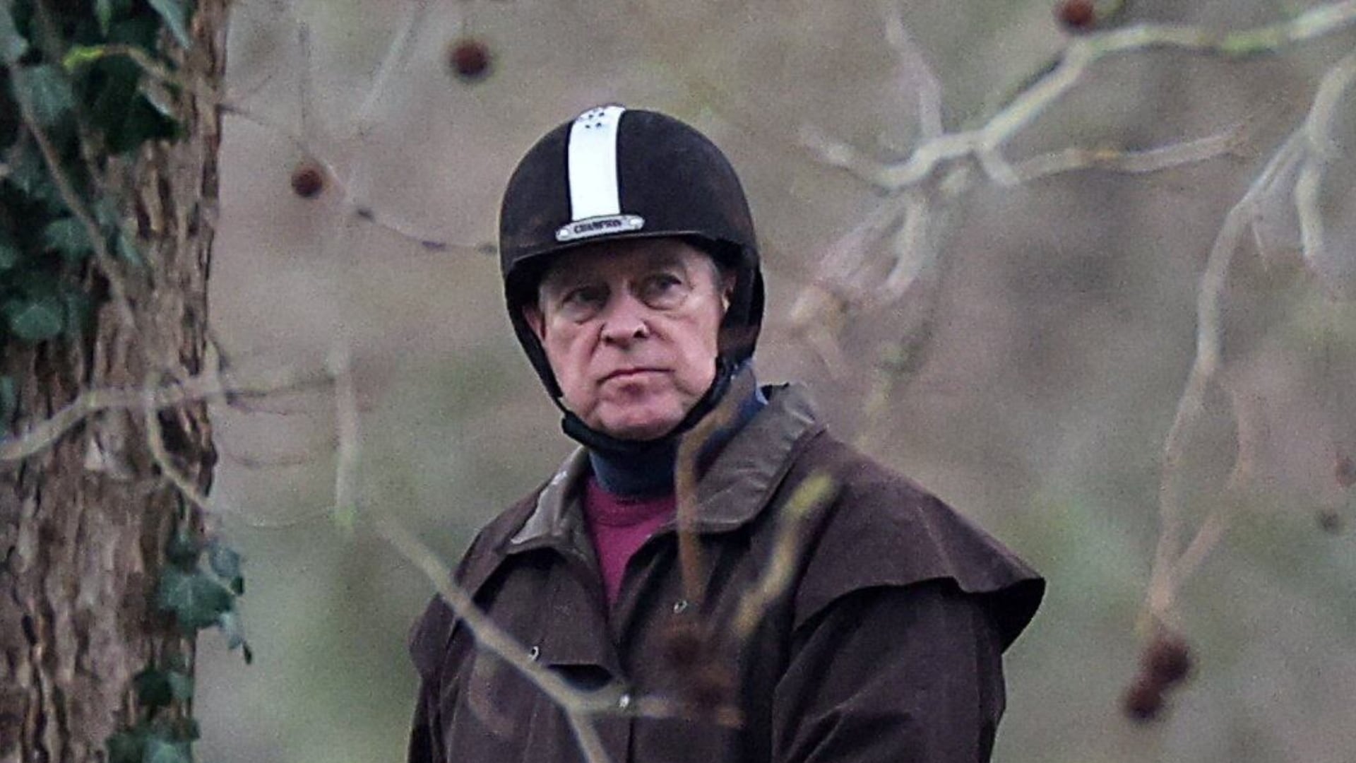 Netflix podría revivir el universo de