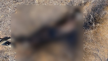 Ceci Flores la madre buscadora