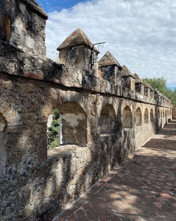 Su aspecto se asimila a