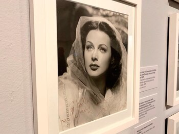 Muestra en 2019 en el