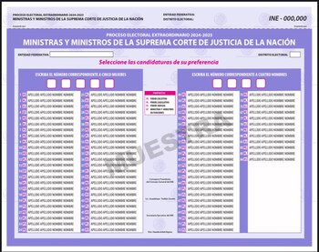 Muestra de la boleta, aún