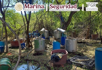 En el inmueble fueron asegurados 150 litros de precursores químicos líquidos y más de 92 kilos de sustancias sólidas. (X @GabSeguridadMX)