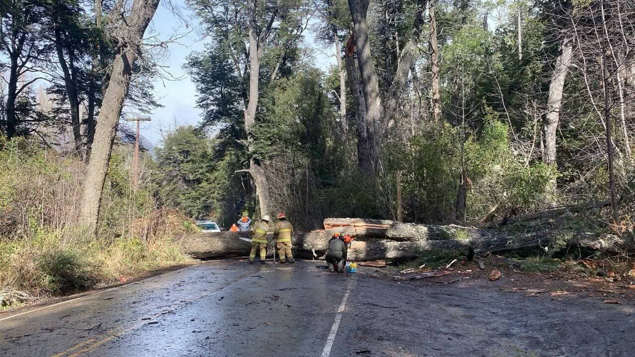 El viento generó voladuras de techos y caídas de árboles en distintos barrios de Bariloche
