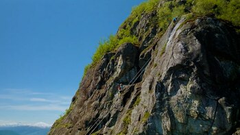 La experiencia se puede complementar