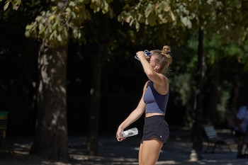 Imagen X343NRSQABGWLBPGCNLCVAEJJQ