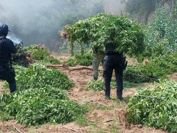 El ciclo de producción de