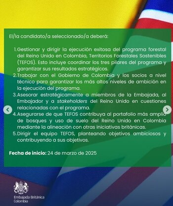 Requisitos para aplicar al cargo