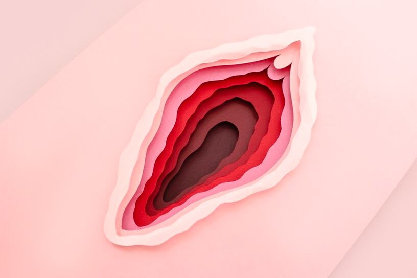 La diferencia entre la vulva y la vagina radica en el rol que desempeñan con respecto a la sexualidad y la reproducción femeninas (Plenna)