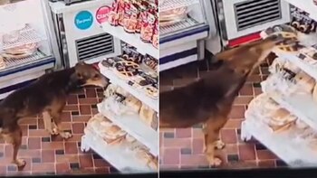 El momento exacto en que