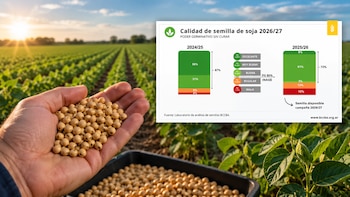 Calidad de semilla de soja en Córdoba, antes de empezar la siembra de la campaña 2026/27