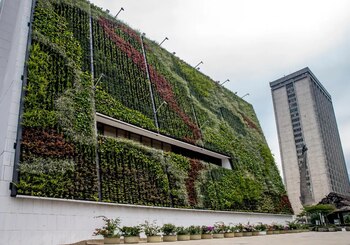 Los jardines verticales han beneficiado