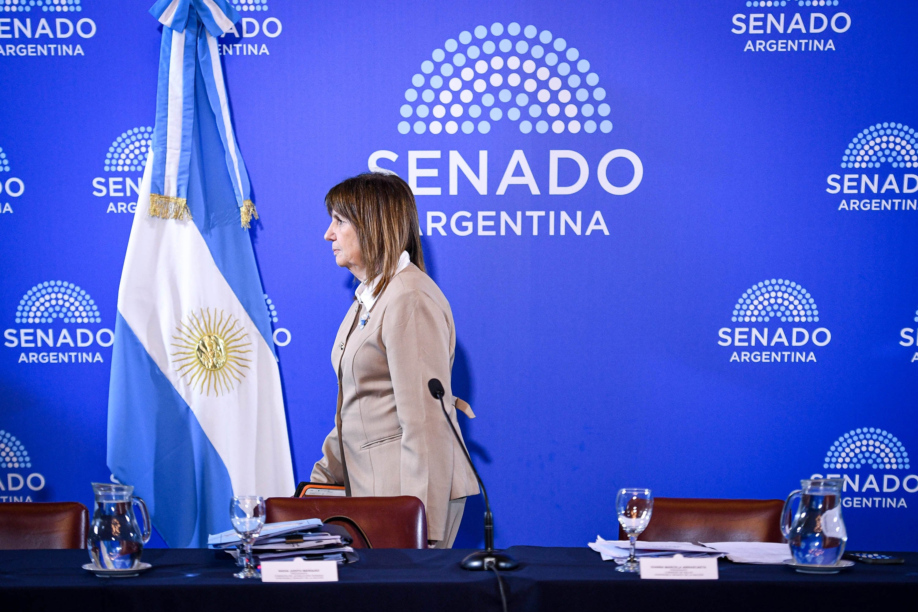 La legisladora reclamó el tratamiento de Ficha Limpia en la Cámara alta como un compromiso previo a la reforma política (Charly Diaz Azcue/Comunicación Senado)