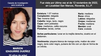 Detuvieron al presunto feminicida de