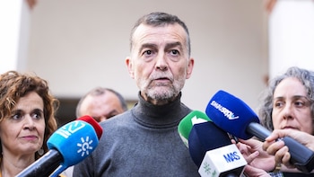 Maíllo (IU) no ve "ningún