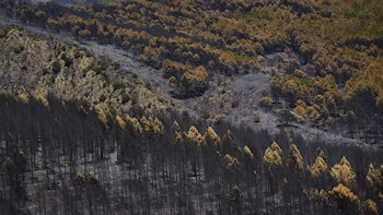 El fuego de La Mierla afecta a 16.000 has, deja 20 pueblos evacuados, 5 confinados y 800 personas desplazadas