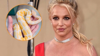 Britney Spears sostiene una serpiente en Instagram y dice estar en un “viaje espiritual”