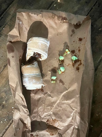 La policía incautó facturas que