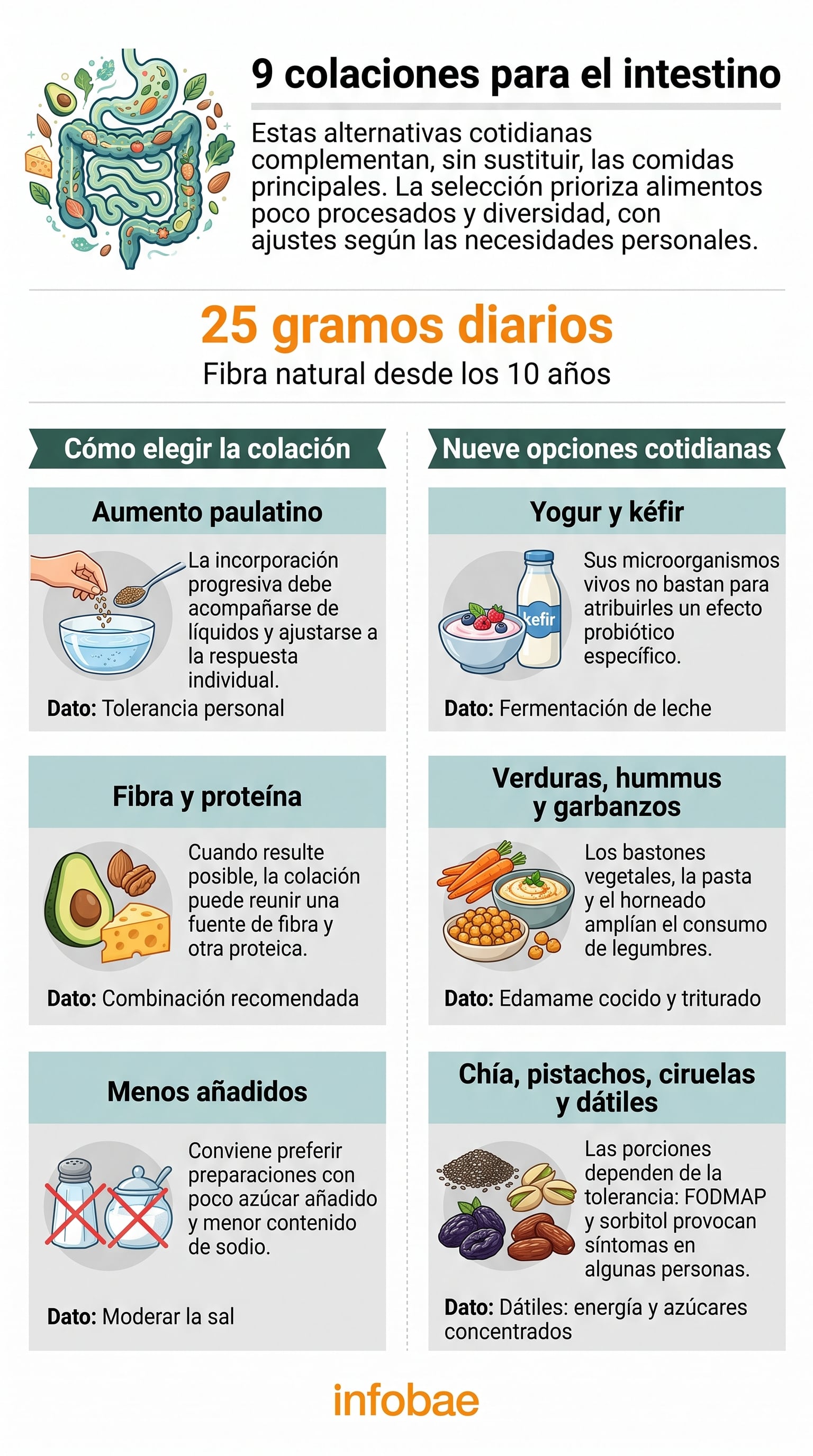 La tolerancia individual y el aumento gradual de la fibra son claves para incorporar nuevos snacks sin molestias digestivas. (Imagen Ilustrativa Infobae)