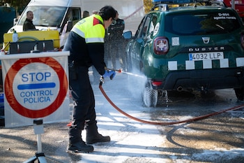 La movilidad de jabalíes y